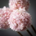thumbnail image 2 of Sullivans 22" Artificial Pink Allium Spring Bunch, 2 of 3