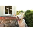 thumbnail image 4 of PetSafe Outdoor Ultrasonic Dog Bark Deterrent, Weatherproof, Acre Coverage, Anti-Bark, 4 of 8