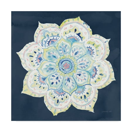 - Trademark Fine Art 'Jaipur VI Navy' Canvas Art by Danhui Nai