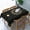 Tarot, variant on Sunshine Table Cloth Sun Sunshine Tablecloths Waterproof Tablecloth Wrinkle Free Tablecloth for Dining Room Rectangle Tablecloth (60 x 84 Inch)