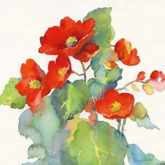 Begonia II Canvas Art - Theresa Troise Heidel ()