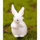 thumbnail image 1 of Conejo DIY micro paisaje jardinería decoración Musgo pequeño animal pastel decoración llavero colgante dibujos animados Pequeño Conejo Blanco, 1 of 6