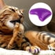 thumbnail image 4 of Gorro Para Uñas De Gato, Gorro Para Garra De Gato De Apariencia Hermosa, Accesorio De Aseo Ligero De PVC Para Gatos Y Mascotas, 4 of 7