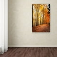 thumbnail image 3 of Trademark Fine Art "Yellow Moment" Canvas Art by Philippe Sainte-Laudy, 3 of 3