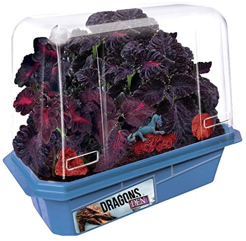 TOYS BY NATURE Complete Kids Dragon Terrarium Kit - Grow Your Own Dragon Plant Lair - Includes Everything Needed to Create Your Mythical Fire-Breathing Dragon's Den