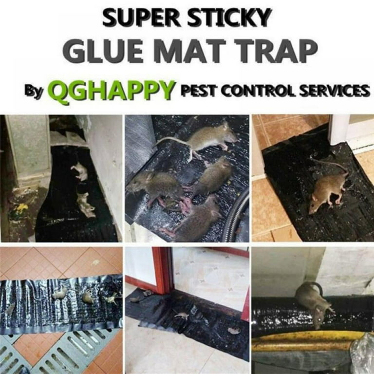 Wisremt 3.96Ft Sticky Rat Traps,Mouse Glue Traps That Work for Trapping  Snakes Spiders Roaches,Large Heavy Duty Clear Pre Baited Mats, Indoor  Outdoor