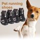 thumbnail image 4 of Billuyoard Zapatos para mascotas Botas deportivas para interiores Malla Transpirable Clásico Algodón Cremallera Calzado para mascotas Ropa para mascotas marrón cuatro Billuyoard PT000055-19B, 4 of 6
