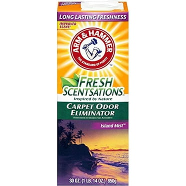 Arm & Hammer Trash Can And Dumpster Deodorizer Powder Original Scent 42.6 Oz