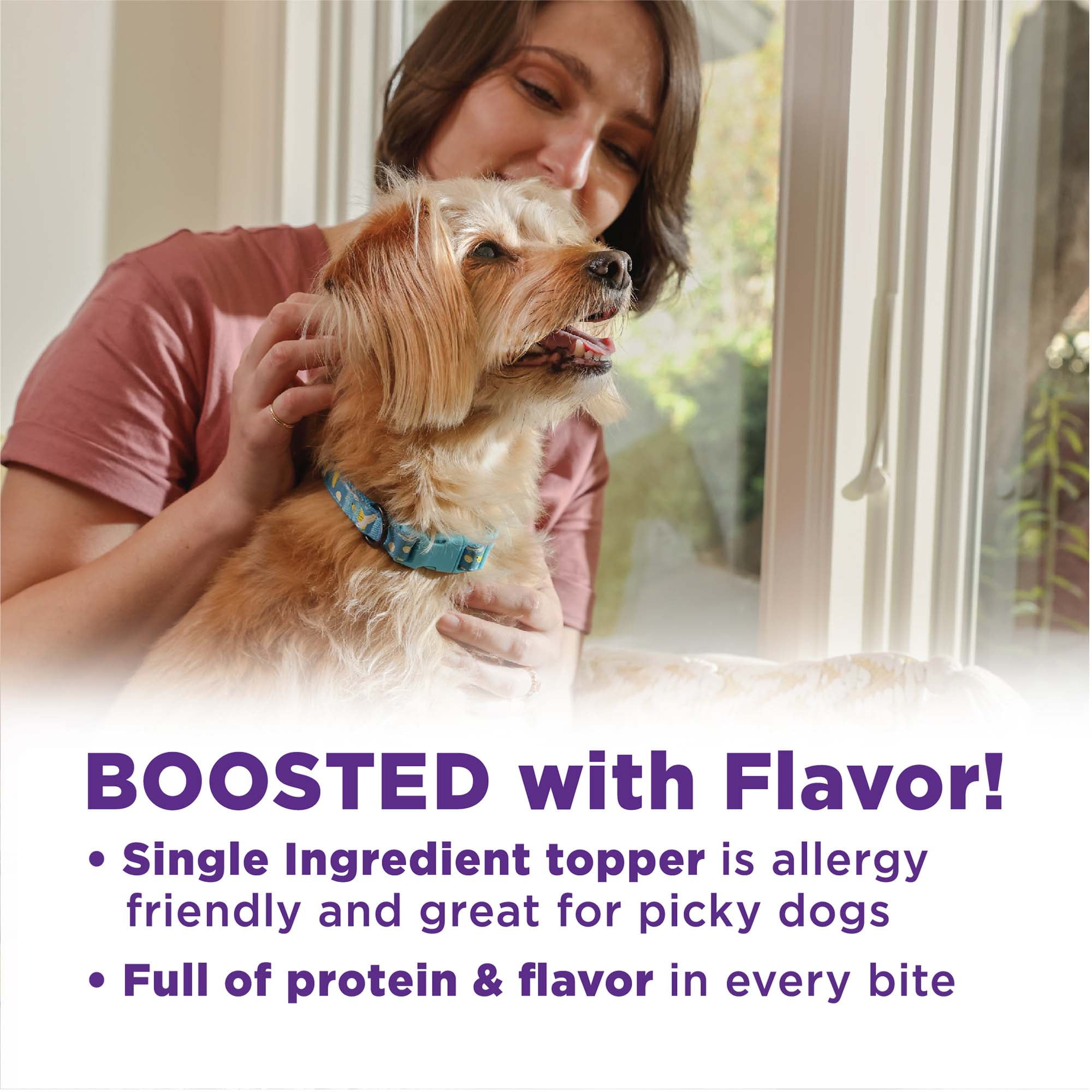 Wellness Bowl Boosters Bare, Dog Food Topper  for Small, Medium, & Large Breeds, Grain Free, Natural, Freeze Dried, Beef, 4 Ounce Bag (Pack of 1)