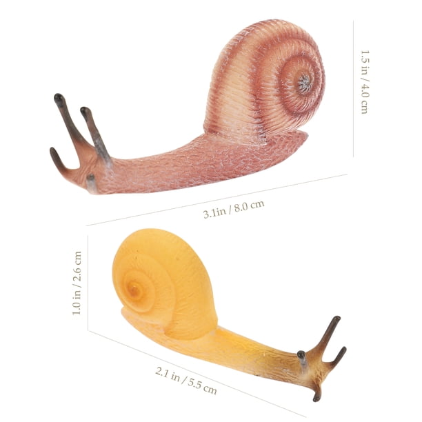 Abaodam 2juegos del Ciclo De Crecimiento del Caracol Juguetes Educativos para Juguetes De Simulación De Crecimiento De Caracoles Accesorios para Aprendizaje El Hogar Abaodam 2juegos del Ciclo De Crecimiento del Caracol Juguetes Educativos para Juguetes De Simulación De Crecimiento De Caracoles Accesorios para Aprendizaje El Hogar