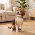 thumbnail image 3 of Vibrant Life Adjustable Fashion Dog Collar, Green Polka Dot, Size M, 3 of 11