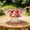 Clear, variant on Djiypn Fruit Basket Fruit Bowl for Kitchen Counter - Plastic Pedestal Bowl with Flower Edge, Decorative Serving Frutero for Produce and Vegetable Storage, Plastic Decorative Gift Idea, Red