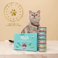 thumbnail image 5 of (6 pack) Love, Nala Flaked Chicken with Pumpkin Recipe in Broth Adult Wet Cat Food, 5 of 8