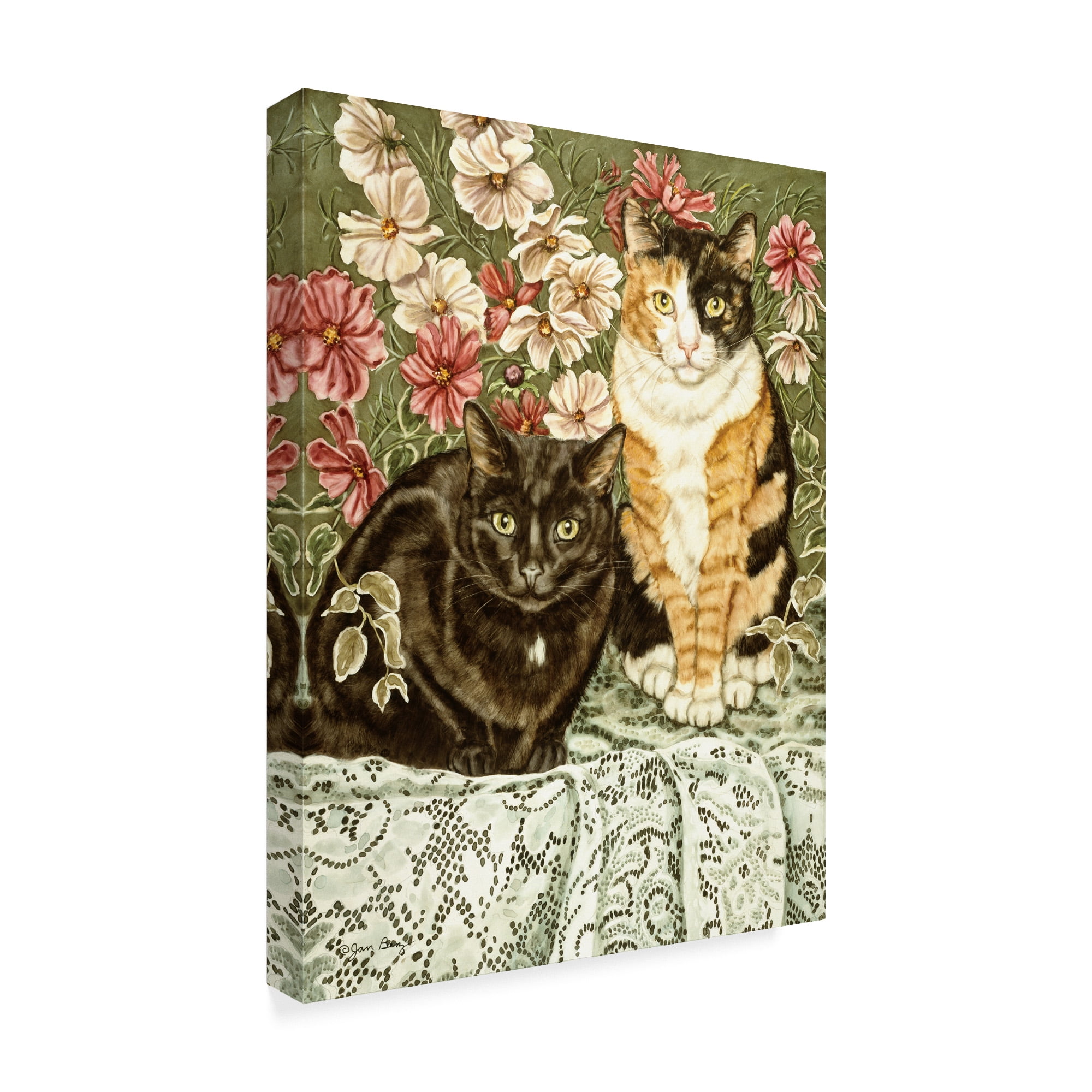 Trademark Fine Art 'Cosmos and Lace' Canvas Art by Jan Benz