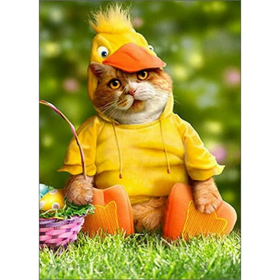 Avanti Press Cat In Duck Costume Funny / Humorous Easter Card