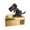 As shown B, variant on Iumwxz Fall Decor Little Dog-Puggy Bank Automated Dog Steal Coin Bank-Piggy Bank Saving Box Toys Christmas Gifts home decor christmas clearance outdoors indoor