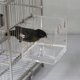 thumbnail image 3 of Suministros de limpieza para mascotas, bañera para pájaros con ganchos colgantes para loros pequeños, periquitos espaciosos, ducha portátil para la mayoría de jaulas de pájaros, 3 of 5