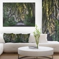 thumbnail image 1 of The Dark Hedges Ireland, 1 of 1