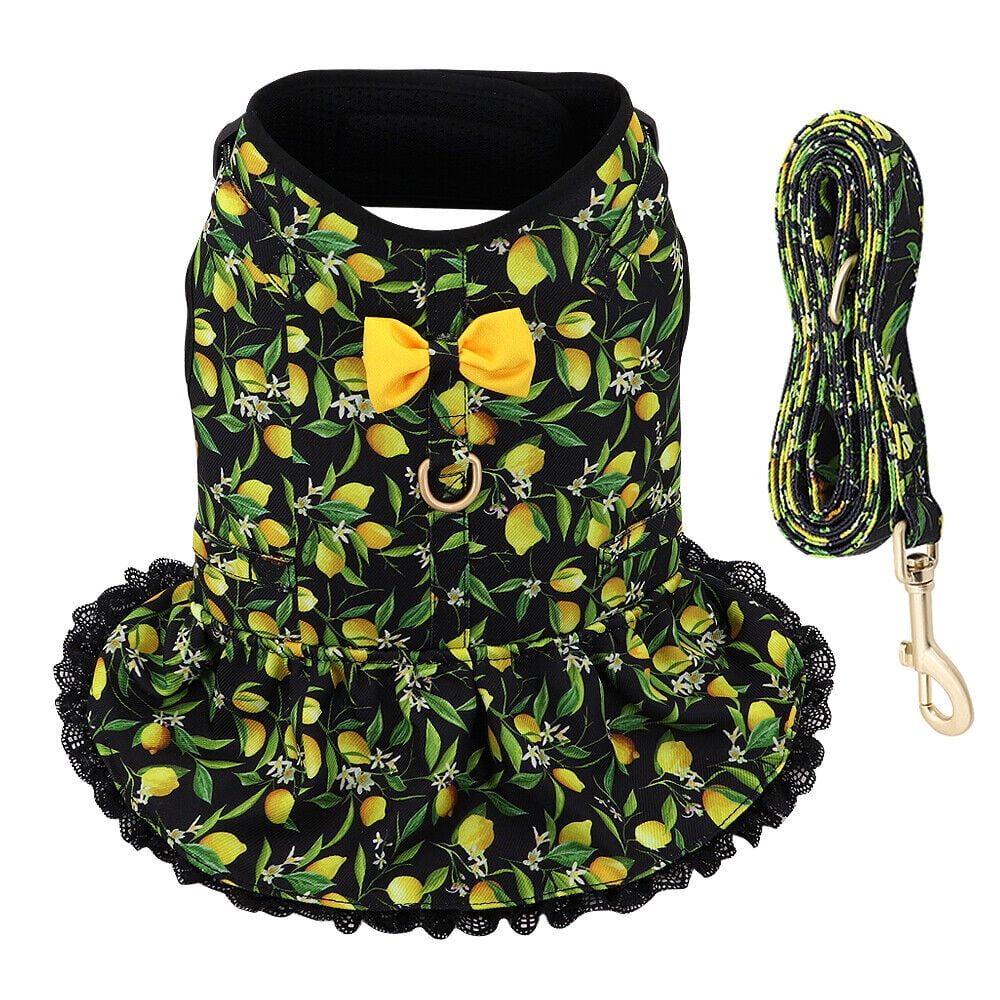 Didog Female Dog Harness Dress and Leash Fancy Small Pet Cat Summer Vest Clothes Yorkie