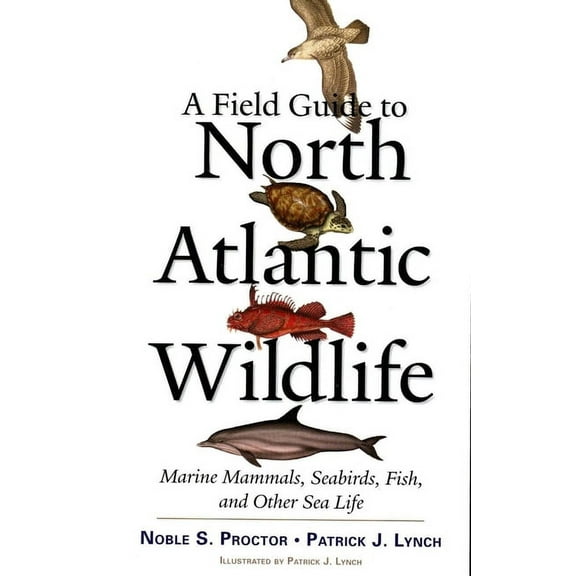 A Field Guide to North Atlantic Wildlife: Marine Mammals, Seabirds, Fish, and Other Sea Life, (Paperback)