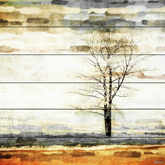 Parvez Taj Pt-Wnpw-49-Ww-40 40" x 40" "Lone Tree" Art Print On White Wood