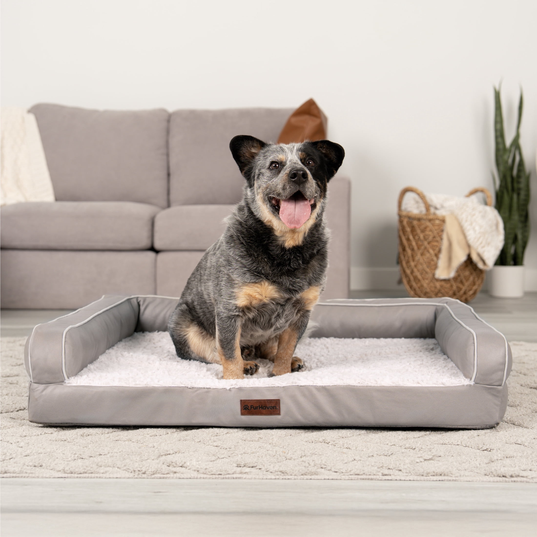 FurHaven Large (27"x36") Orthopedic Dog Bed – Textured Plush & Coated Poly Modern Sofa Pet Bed, CertiPUR-US Foam, Removable Washable Cover, Greige