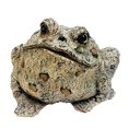 thumbnail image 2 of Toad Hollow HomeStyles Extra Large Toad Natural Brown, 2 of 5