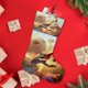 thumbnail image 4 of DC Liga de Súpermascotas Tema: Calcetines de Navidad, fino lino blanco para colgar en escaleras y chimenea, decoración navideña para el hogar, regalo de Navidad.54cm×38cm, 4 of 5