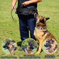 thumbnail image 4 of Military Tactical Dog Collar Leash Set Durable Pet Collar Retractable Leash Medium Large Dog German Shepherd Training Accessorie ShopWise Round, 4 of 20