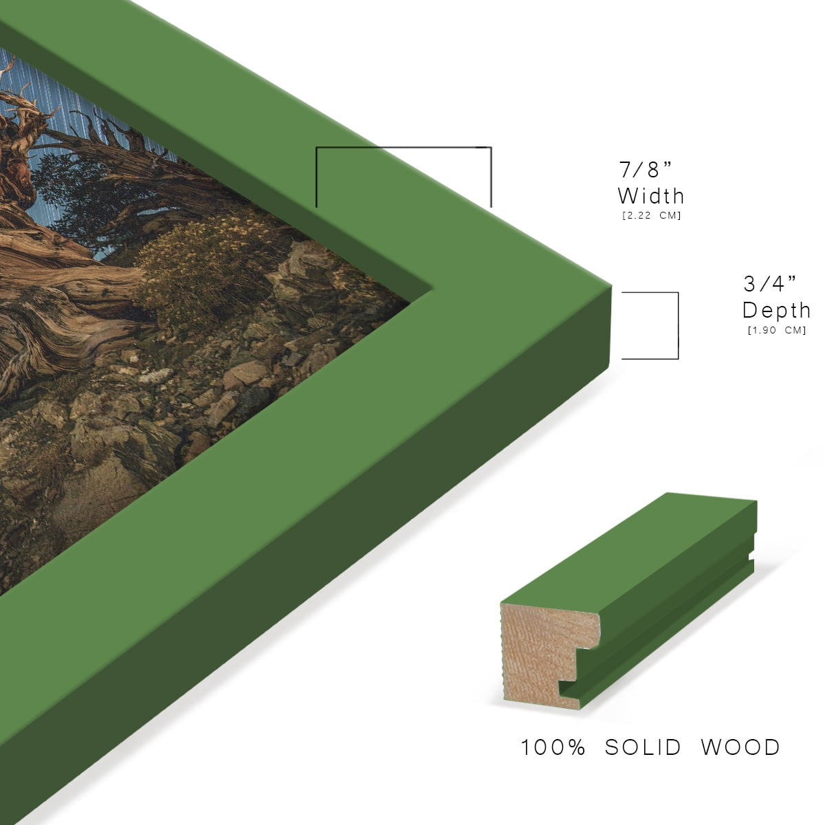 Modern 6 in. x 8 in. Green Picture Frame (Set of 4)
