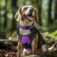 thumbnail image 2 of Reflective Dog Collar,Soft Neoprene Padded Breathable Nylon Pet Collar Adjustable for Large Dogs,Purple,L, 2 of 18