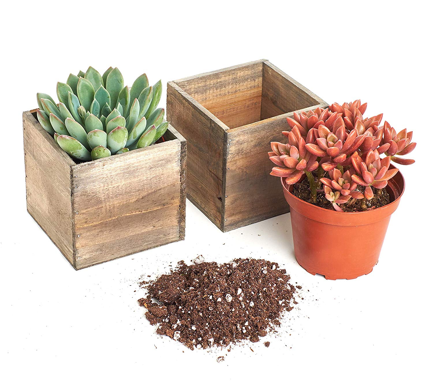 Urban Living Wood Box Succulents