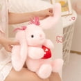 thumbnail image 5 of Love Bunny Stuffed Animals Holds Red Heart 10.2" Cute Rabbit Plushies Soft Bunny Plush Toys Romantic Sweet Gifts for Valentine's Day, Birthdays, and Anniversaries, 5 of 9