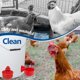 thumbnail image 4 of Paquete de 12 vasos de agua para pollos, kit de riego automático para aves de corral, estilo flotador, comedero de agua por gravedad, cuenco para beber, bebedero para pollos, 5 galones con abrido, 4 of 5