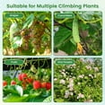 thumbnail image 6 of Costway 1 PCS 7.5FT Garden Arch Trellis Outdoor Plant Support Archway for Climbing Vine Flower, 6 of 10