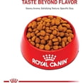 thumbnail image 2 of Royal Canin Canine Care Nutrition Large Digestive Care Adult Dry Dog Food 30 lbs., 2 of 2