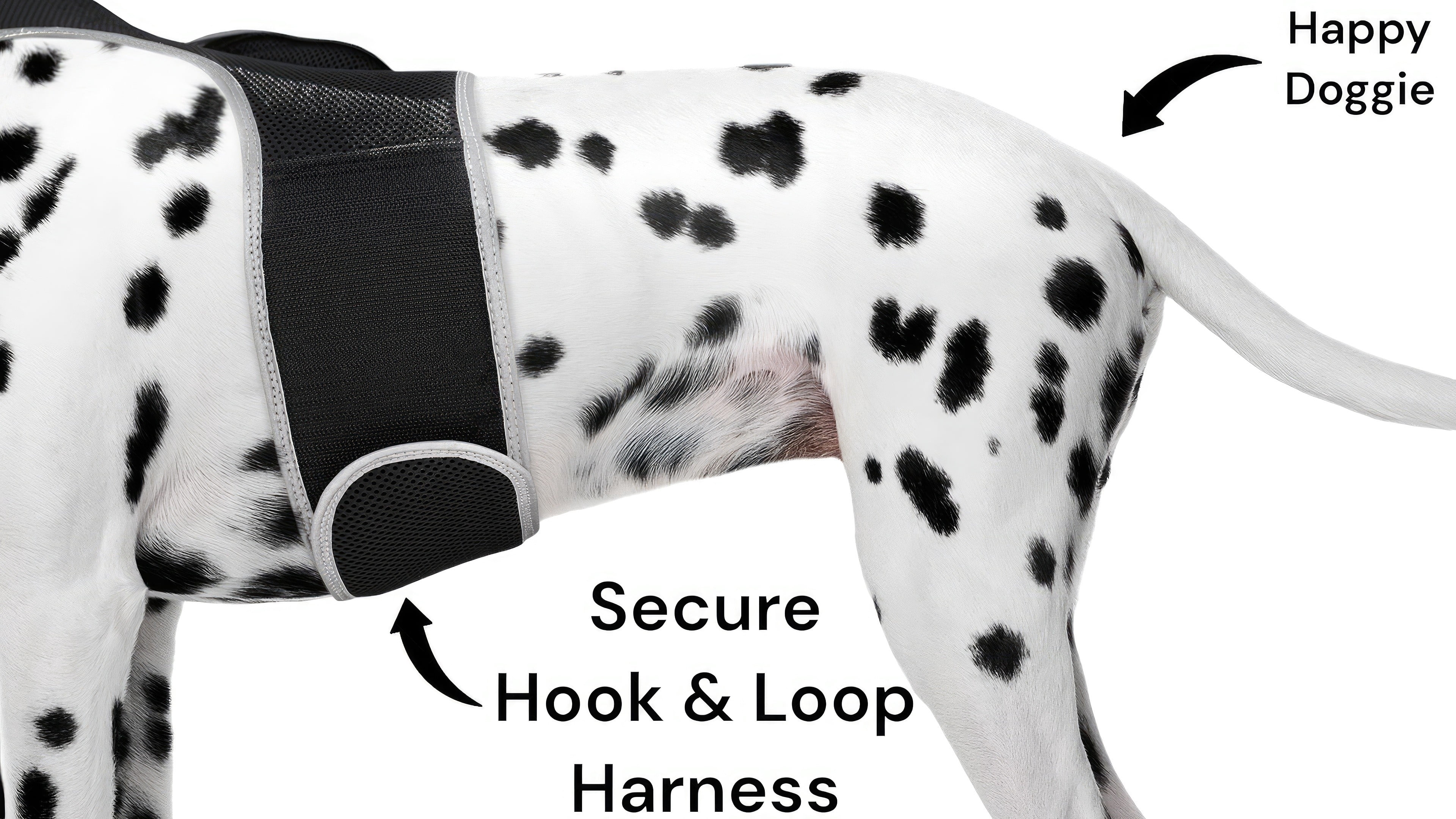 Mini Pet Tracker with Android iPhone Compatible Cat Dog GPS App System Size:XL