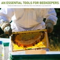 thumbnail image 4 of 50Pcs Natural Bee Tubes Mason Bees House Tubes Outdoor Reed Bee Tubes Reed Refill Beehive Props, 4 of 9