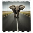 thumbnail image 3 of Ambesonne Animal Shower Curtain, Wild Animal on Highway, 69"Wx84"L, Black Cocoa Grey, 3 of 3