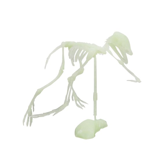 IROINID Noctilucent Dinosaur Human Skeleton Model Assembly Skull Toy Bones Decor