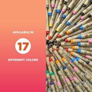 Sakura Pigma Micron Fineliner Pens - Archival Black Ink Pens - Pens for Writing, Drawing, or Journaling - Black Ink - 005 Point Size - 6 Pack