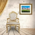 thumbnail image 3 of DeRice, Julie 14x12 Gold Ornate Wood Framed with Double Matting Museum Art Print Titled - Wild Poppies, 3 of 4