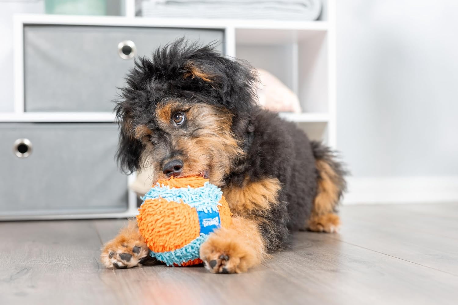 Chuckit! Indoor Ball Fetch Plush Ball Dog Toy