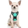 thumbnail image 1 of rabbitgoo Dog Harness  No-Pull Pet Harness with 2 Leash Clips  Adjustable Soft Padded Dog Vest  Reflective No-Choke Pet Oxford Vest with Easy Control Handle for Large Dogs Orange L, 1 of 9