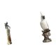 thumbnail image 5 of Figura decorativa de loro tribal, escultura ligera de resina, adorno para escritorio, mesa, centro de mesa o vitrina., 5 of 7