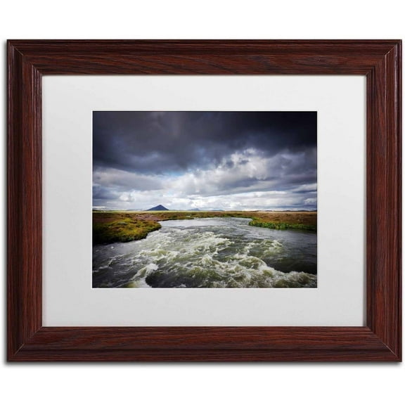 Trademark Fine Art 'Silver Sky' Canvas Art by Philippe Sainte-Laudy, White Matte, Wood Frame
