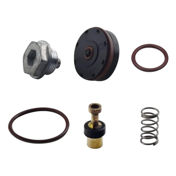 Air Compressor Regulator Repair Set Replacement Parts N008792 for D55155 D55167 D55168 D55684 1WC94 1WC95 C002 C006