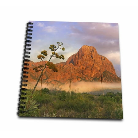 3dRose Century plant and Chisos Mountains, Big Bend National Park, Texas - Mini Notepad, 4 by 4-inch