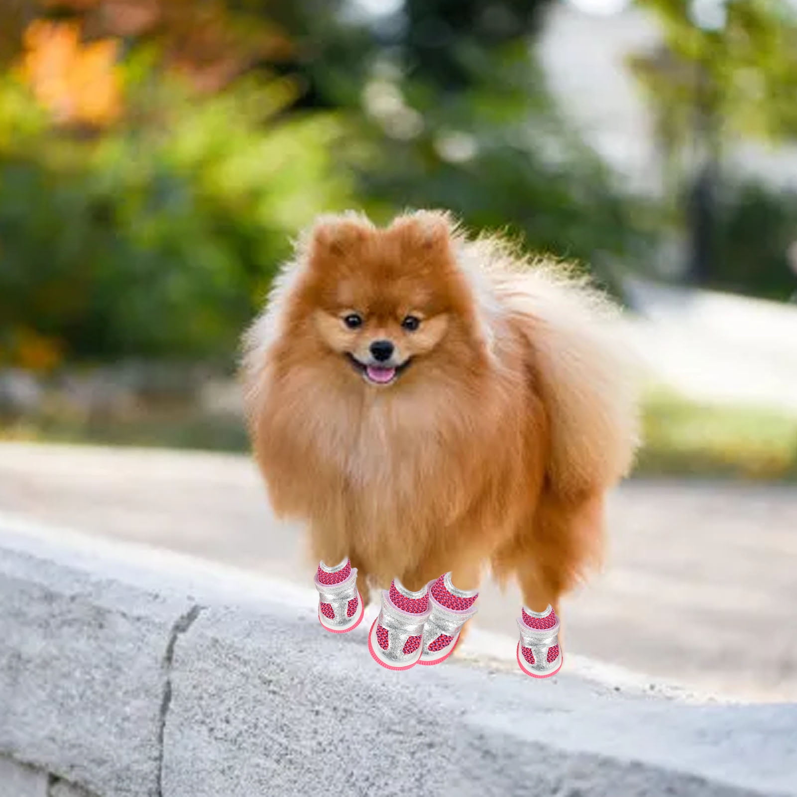 Dog Paw Protector Prevent Slip Comfortable Dog Shoes Rubber Sole For Small Dogs Walmart