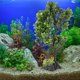 thumbnail image 4 of unbranded Adorno De Para Acuario Perfecto Para Decorar Peceras, 4 of 8
